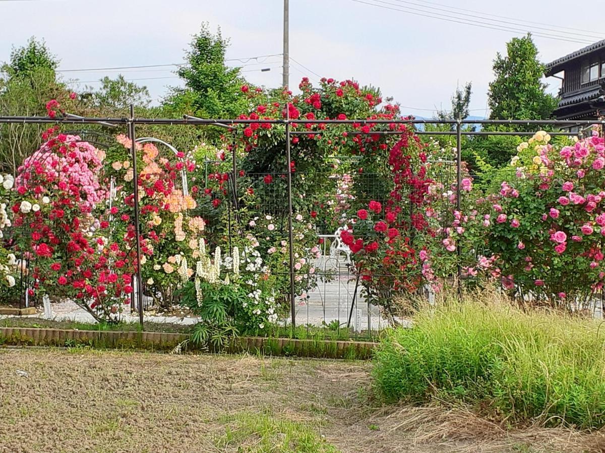 Rosencat Villa Sado Luaran gambar